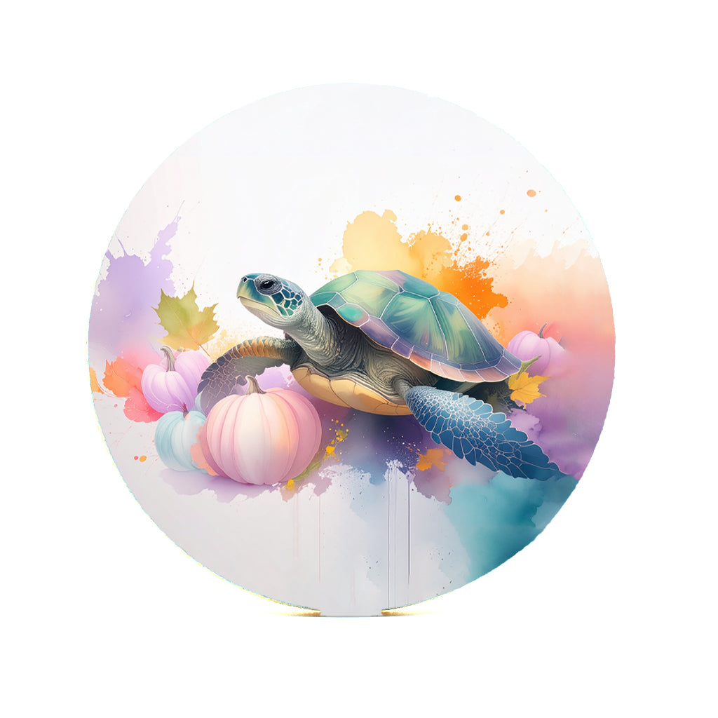 Turtle Pumpkin Splash 2 Gifts