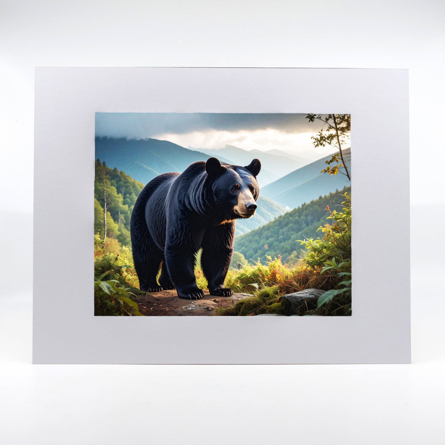 Black Bear 2 Gifts