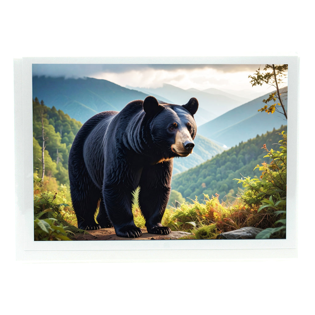 Black Bear 2 Gifts