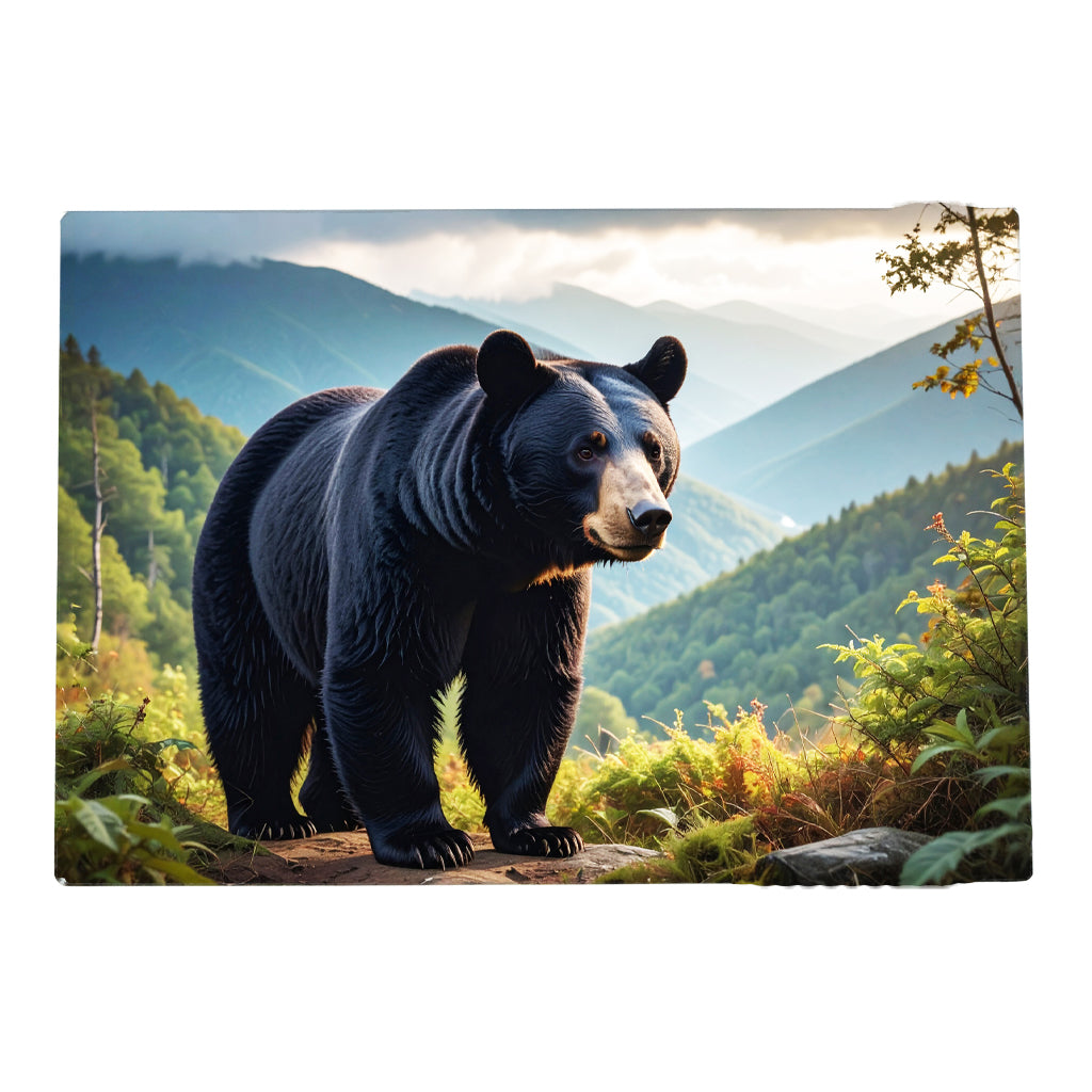 Black Bear 2 Gifts