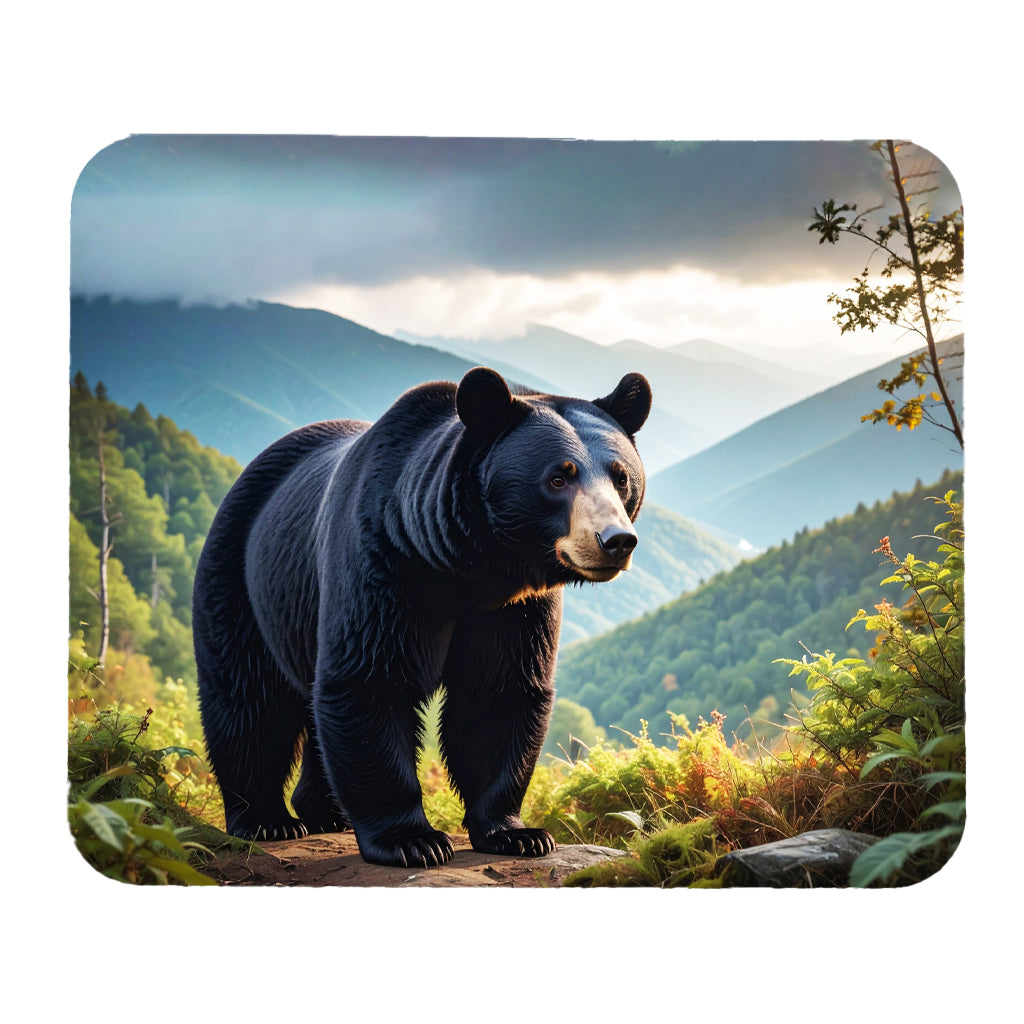 Black Bear 2 Gifts