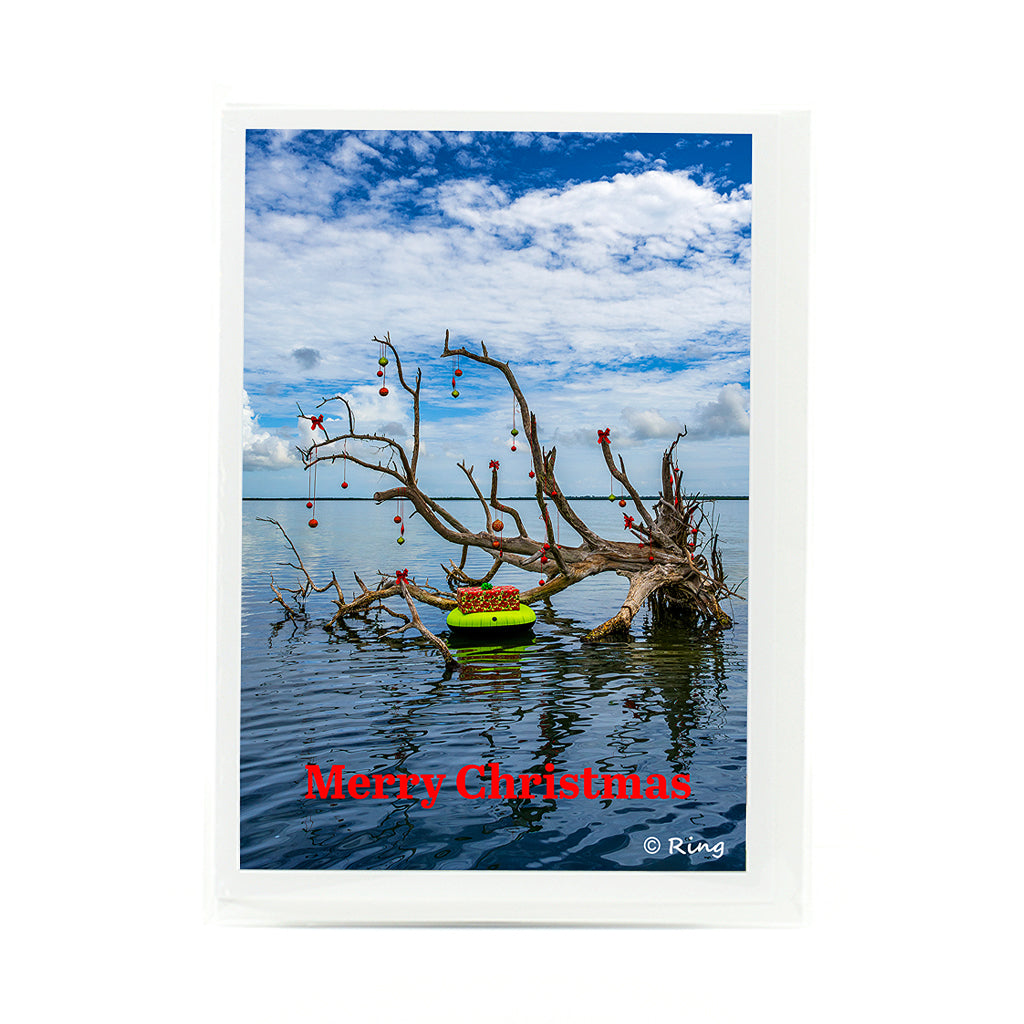 2024 Notecard with photograph of driftwood in the water with Christmas Balls