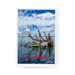 2024 Notecard with photograph of driftwood in the water with Christmas Balls