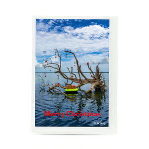 2024 Notecard with photograph of driftwood in the water with Christmas Balls