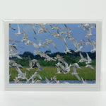 Birds Flying on a 5"x7" photographic glossy greeting card