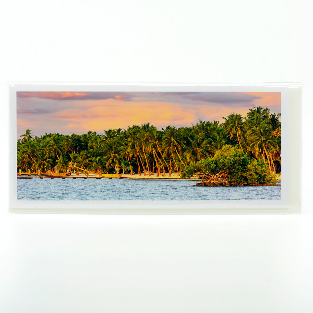 Palm Paradise photograph on a glossy greeting card