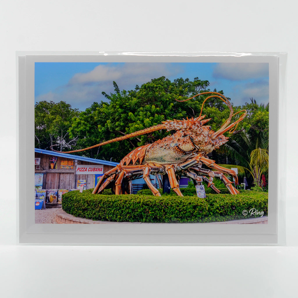 Betsy the lobster photograph on a glossy greeting card