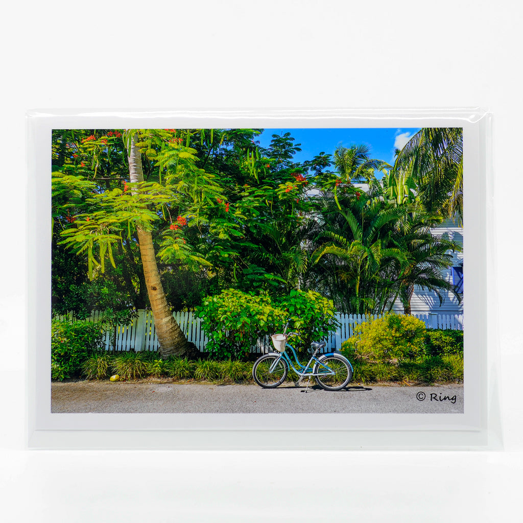 Peddle in Paradise 2 photograph on a glossy greeting card