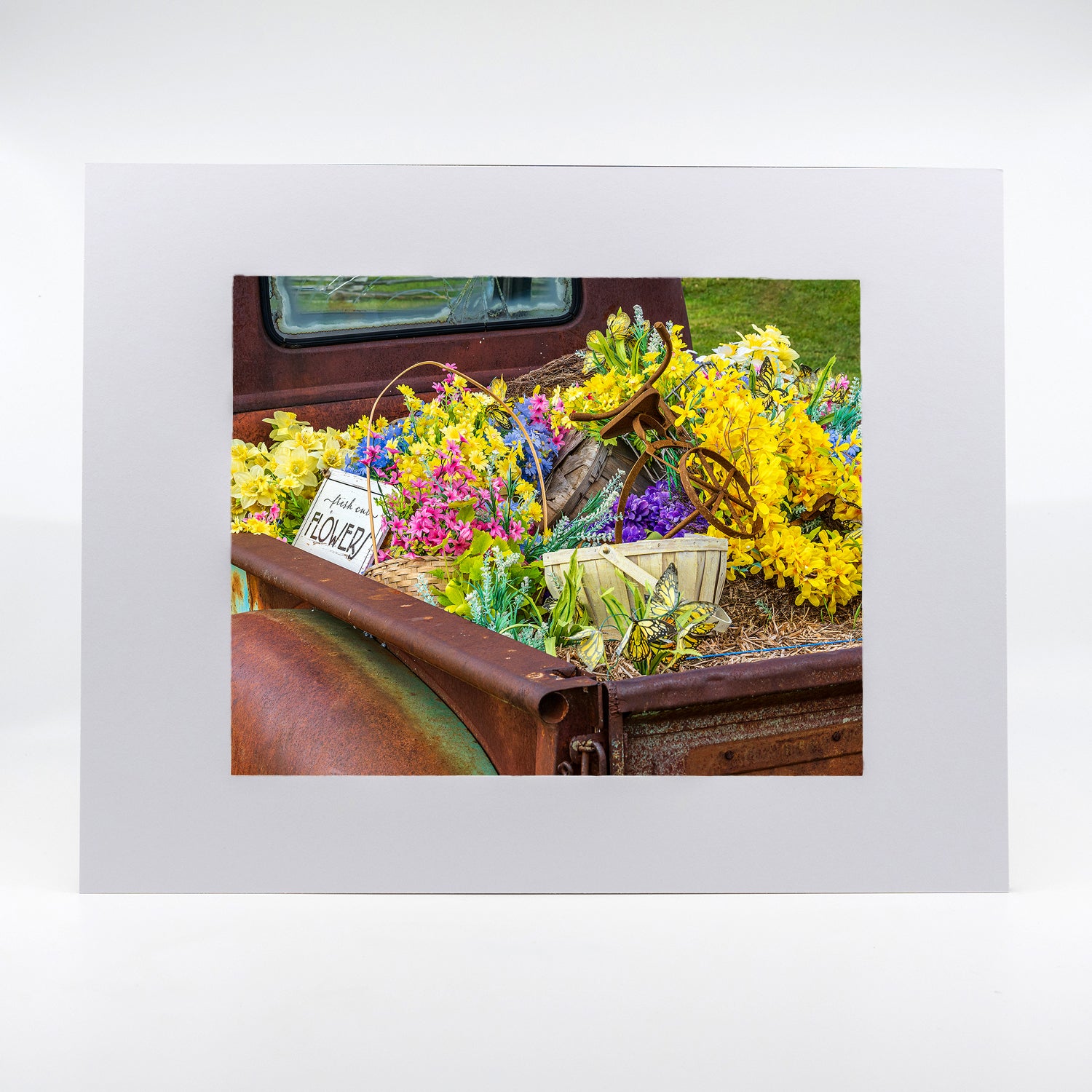 Fresh Cut Flowers Photograph matted to 11"x14"