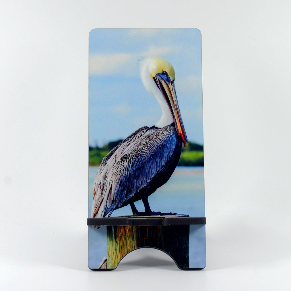 Brown Pelican photograph on a phone stand