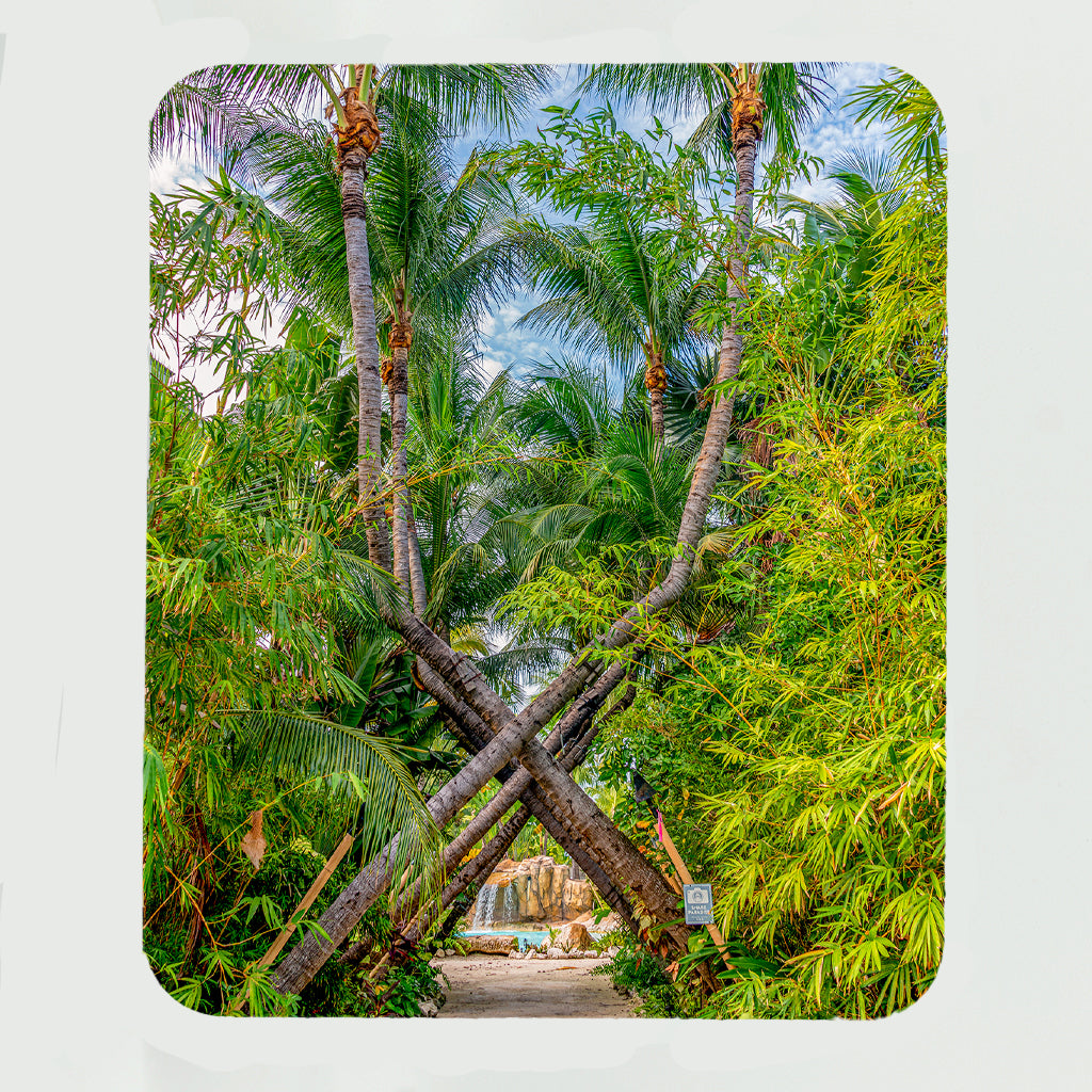 Cheeca Paradise Gifts