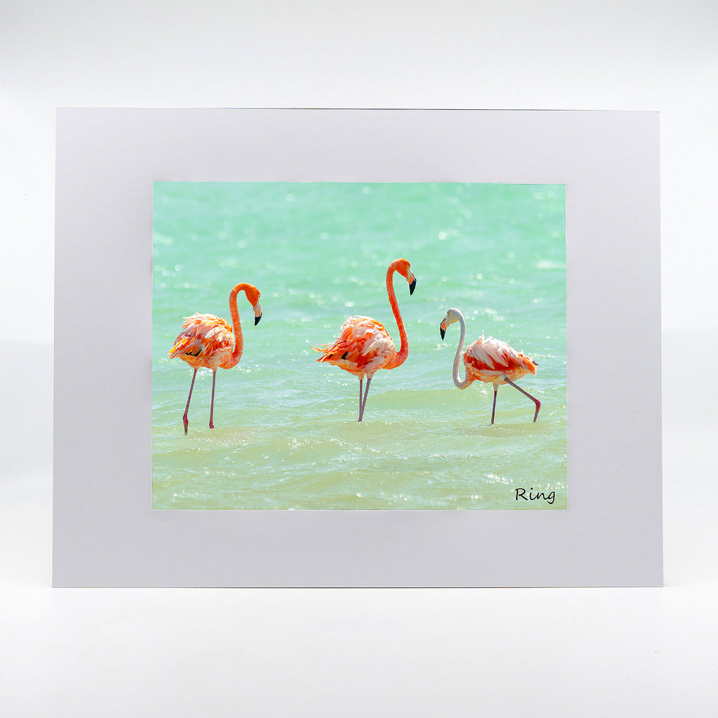 Flamingo 10 Gifts