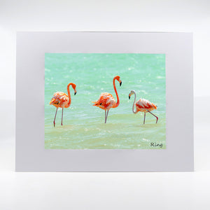 Flamingo 10 Gifts