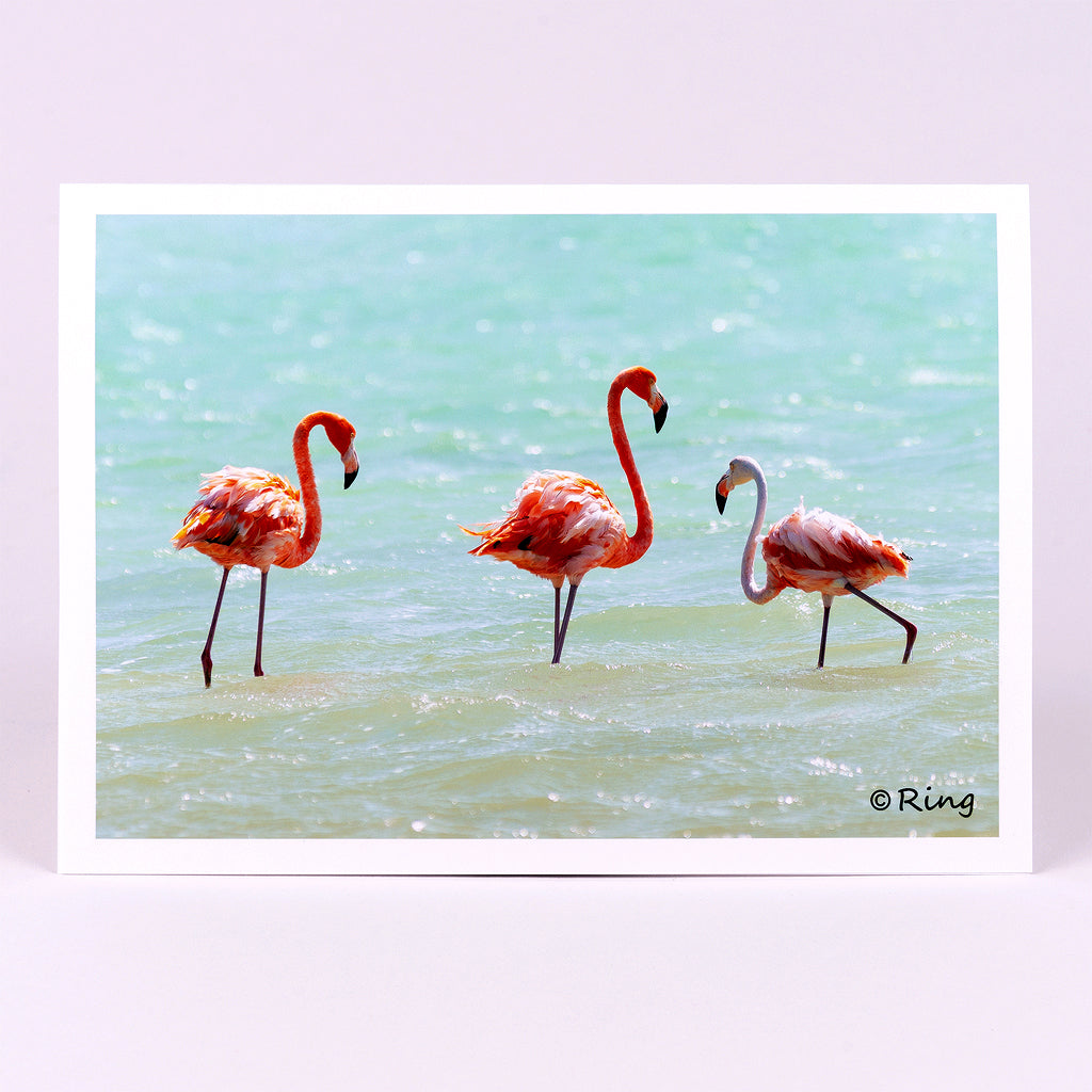 Flamingo 10 Gifts