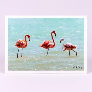 Flamingo 10 Gifts