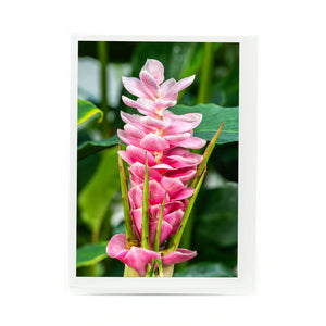 Ginger Flower photograph on a greeting card