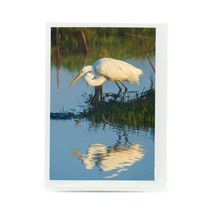 Great Egret 6 Notecard