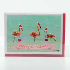 Box of 10 - Santa Flamingo Christmas greeting cards