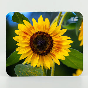 Sunflowers photograph on a rubber computer mouse pad