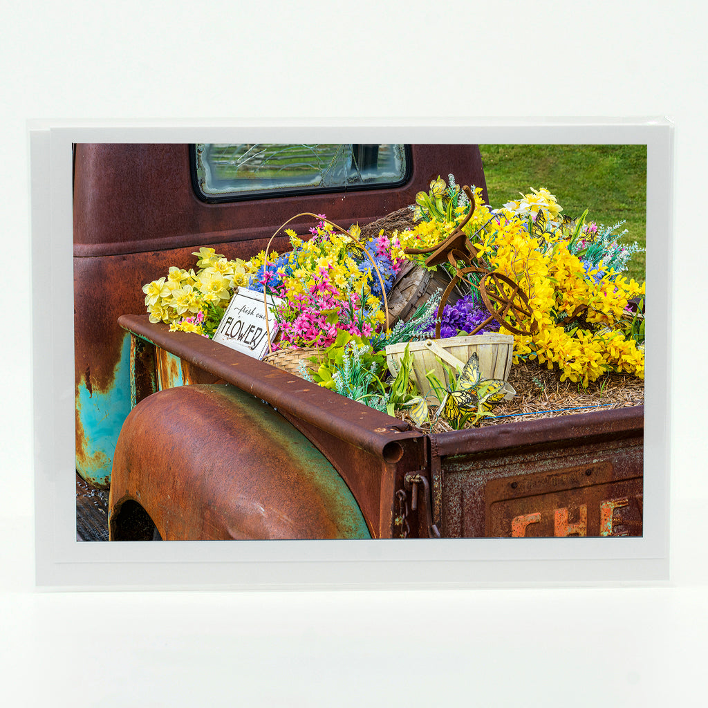 Fresh Cut Flowers Gifts