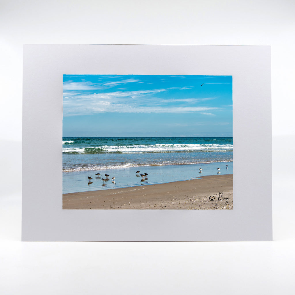 New Smyrna Beach photograph