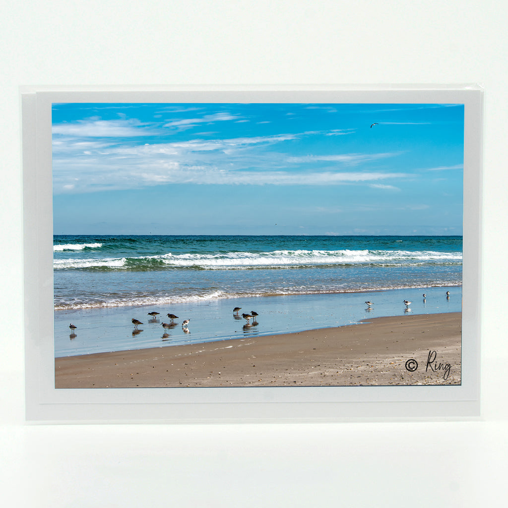 New Smyrna Beach photograph on a greeting card