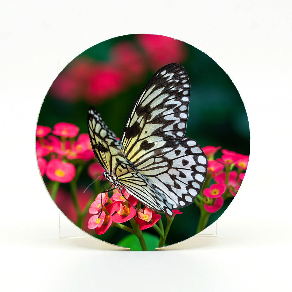 Paper Kite Butterfly photograph on a Round Rubber Home Coaster