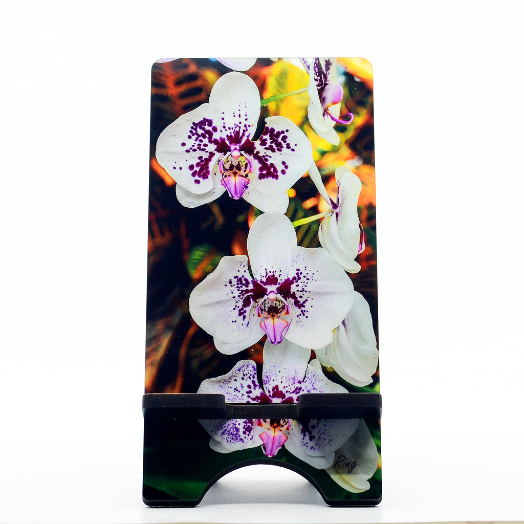 Purple Spotted Moth Orchid photograph on a phone stand