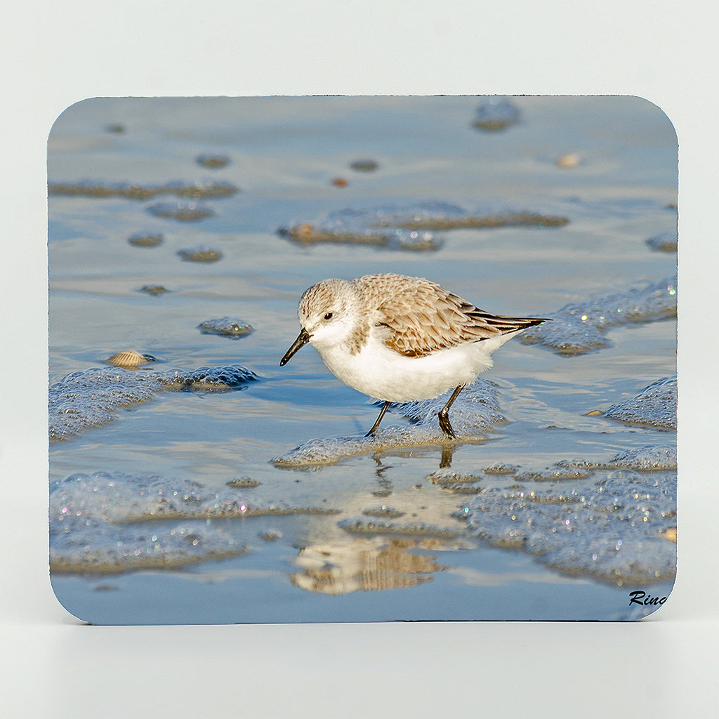 Sandpiper Gifts