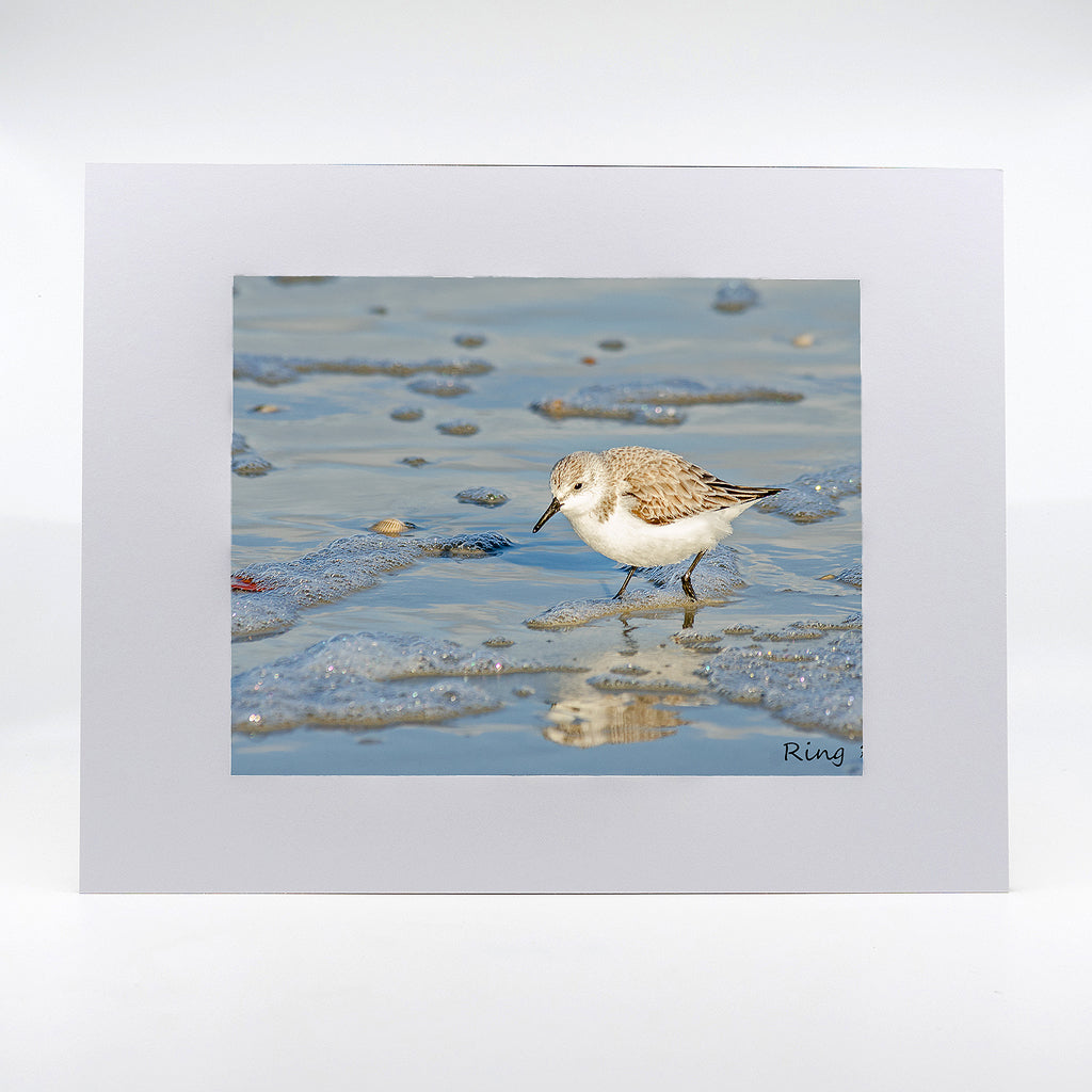 Sandpiper Gifts