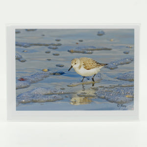 Sandpiper Gifts