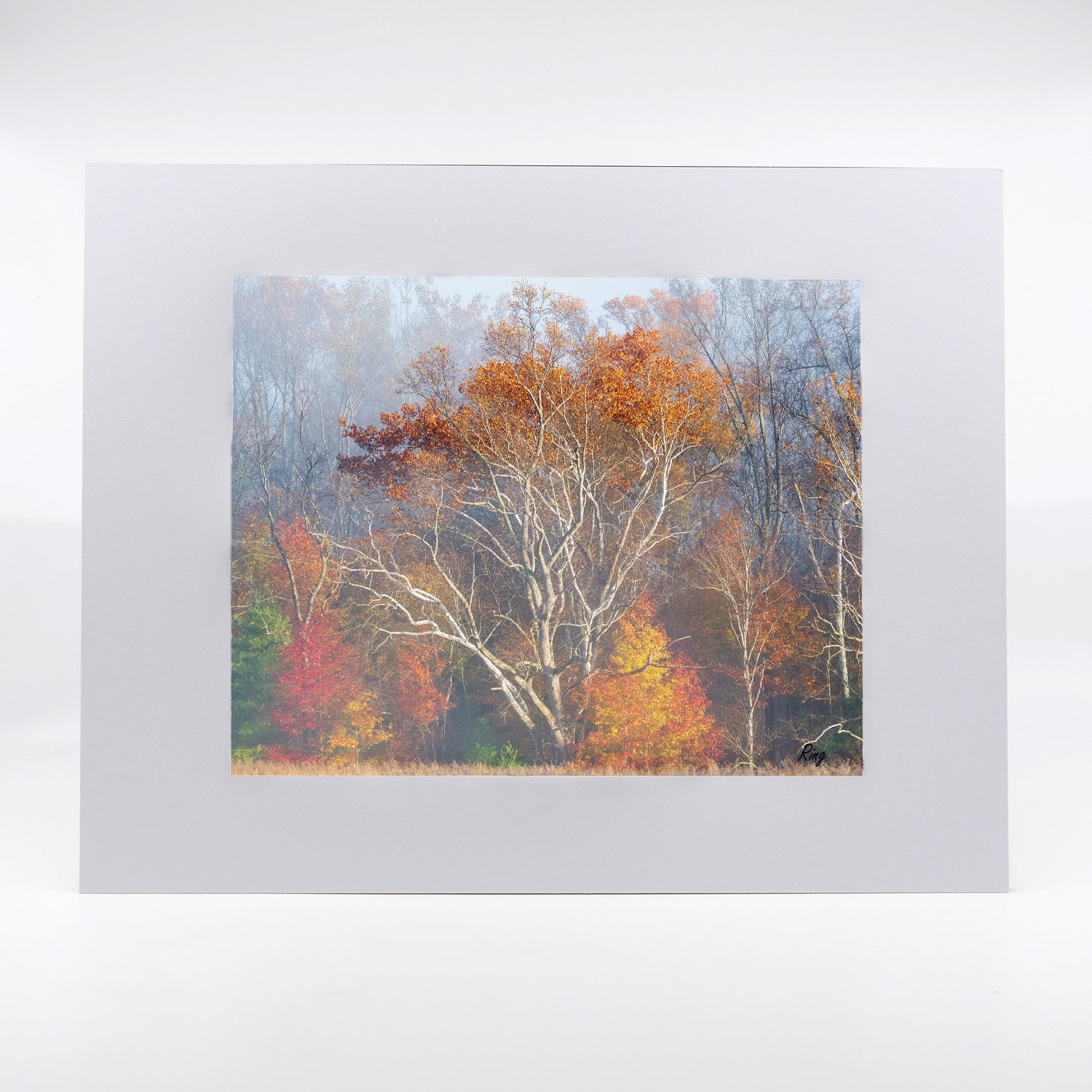 Smoky Mountain Fall 2 Gifts