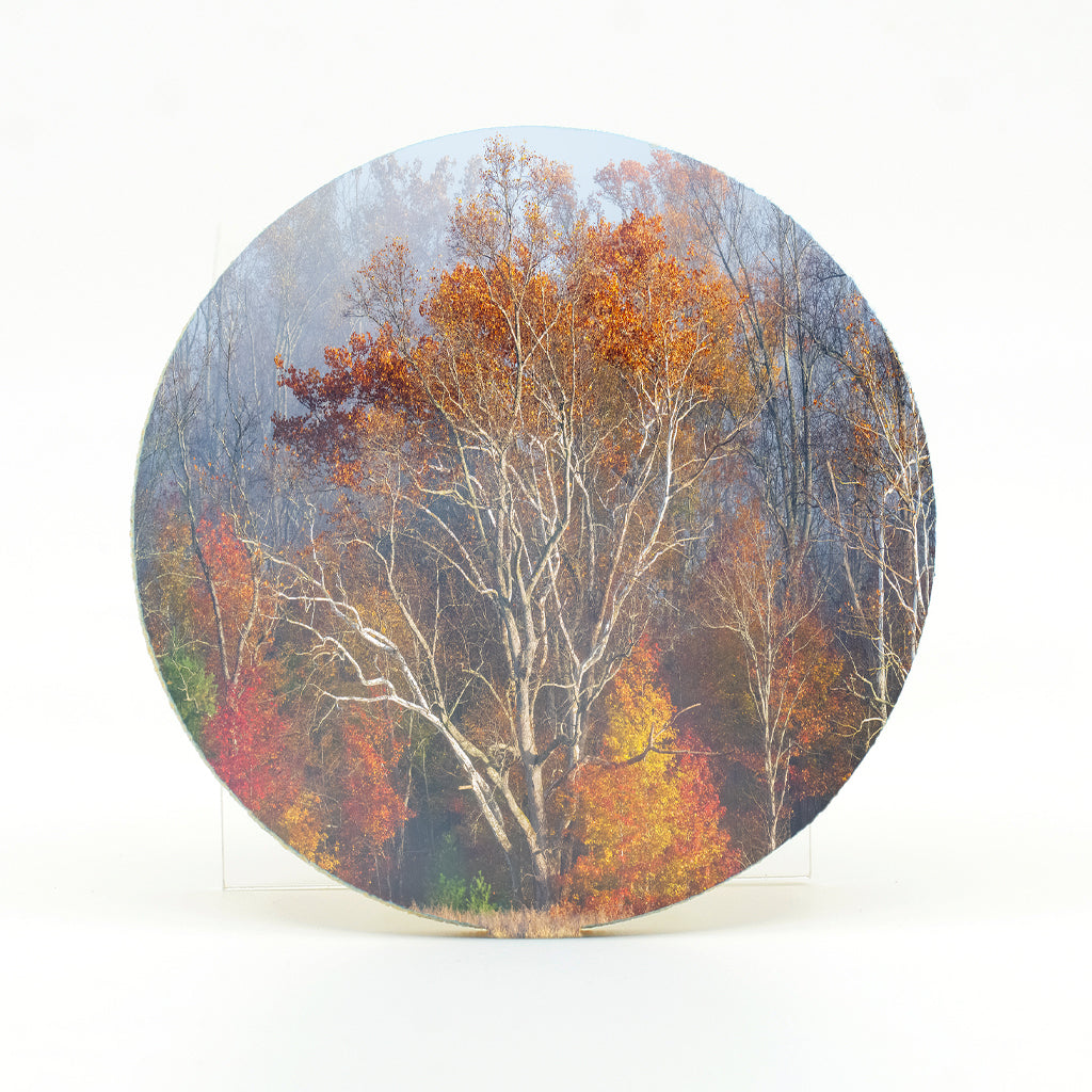 Smoky Mountain Fall 2 Gifts