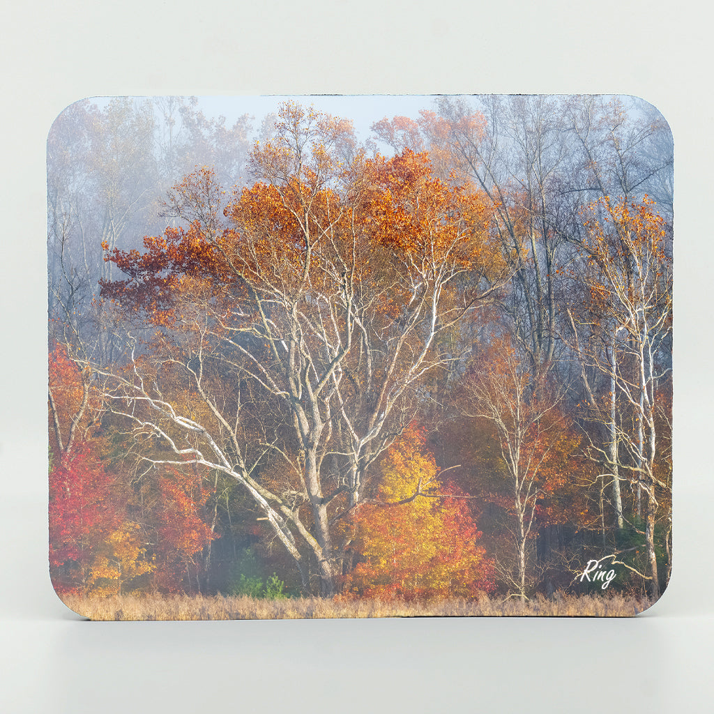 Smoky Mountain Fall 2 Gifts