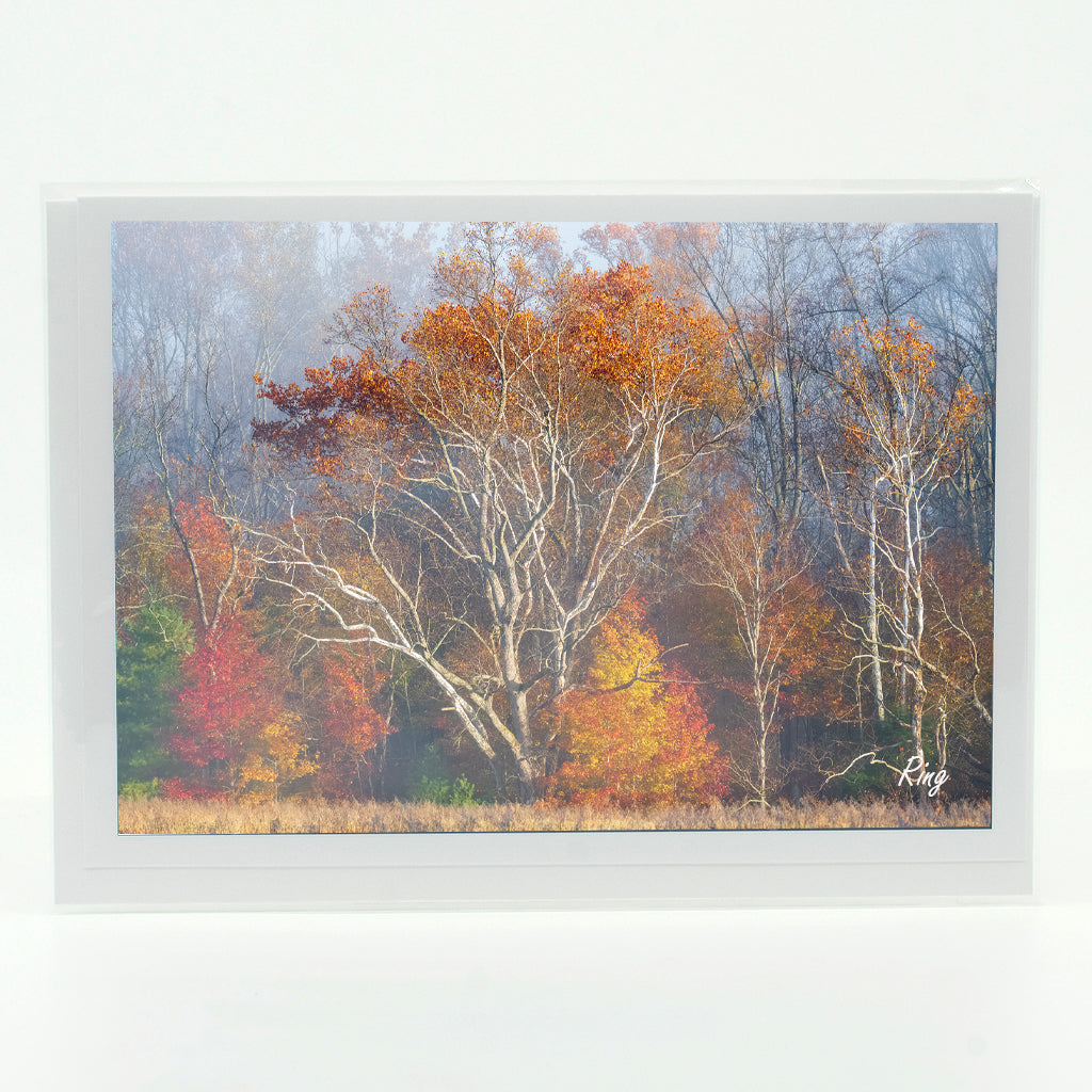 Smoky Mountain Fall 2 Gifts