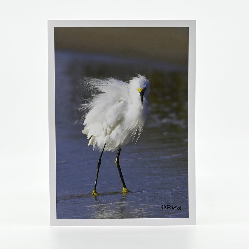 Snowy Egret Gifts