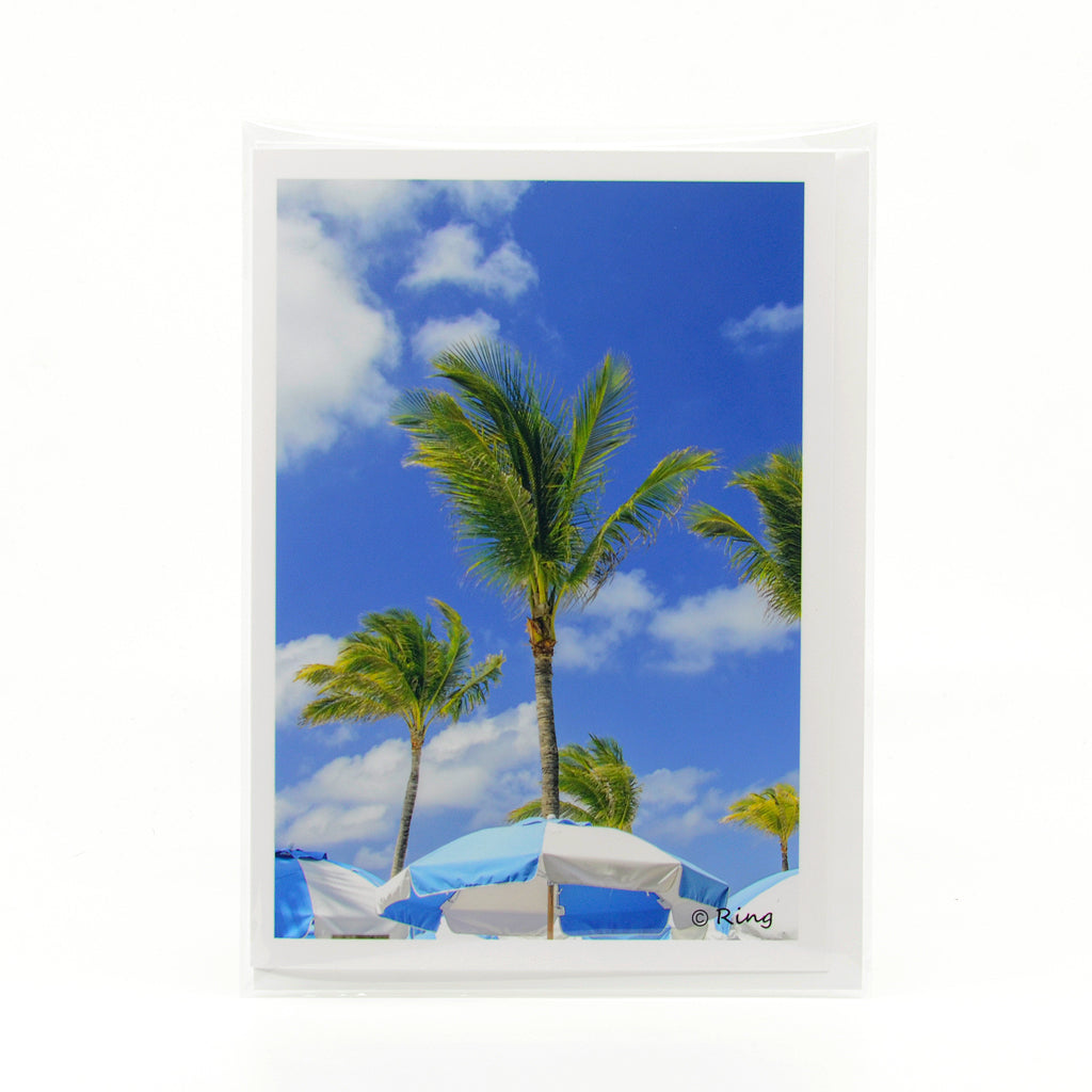 Palm Trees blowing in the wind photograph on a greeting card