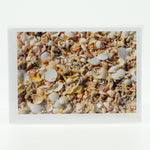 Shells on the beach on a 5"x7" glossy greeting card