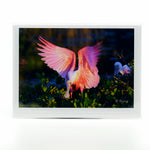 Roseate Spoonbill on a mangrove tree glossy photographic notecard