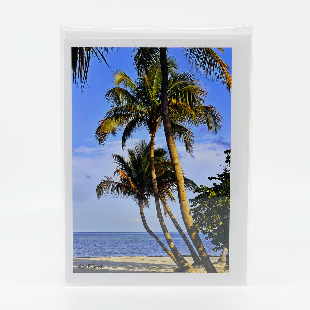 Coconut Palms photograph on a glossy greeting card 5" x 7"