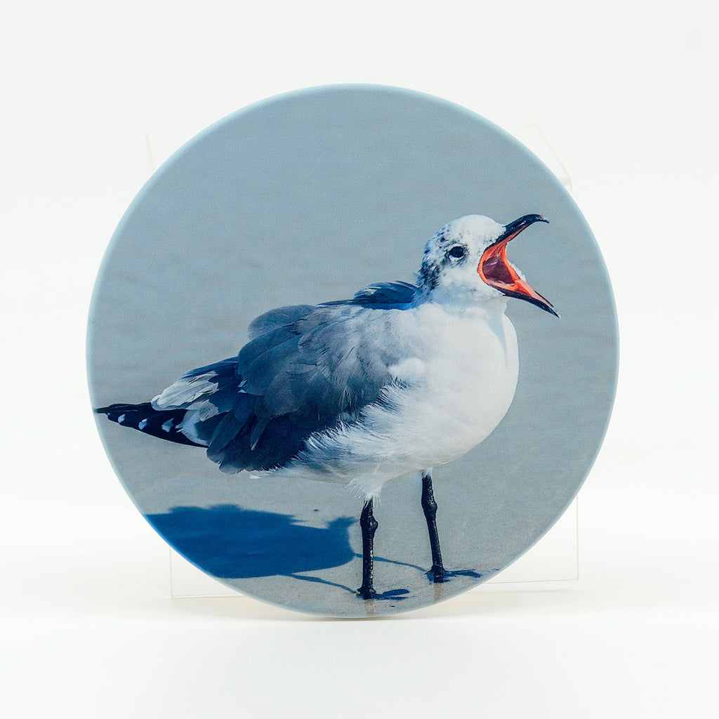 Laughing Gull photograph on a 4" round rubber home coasters