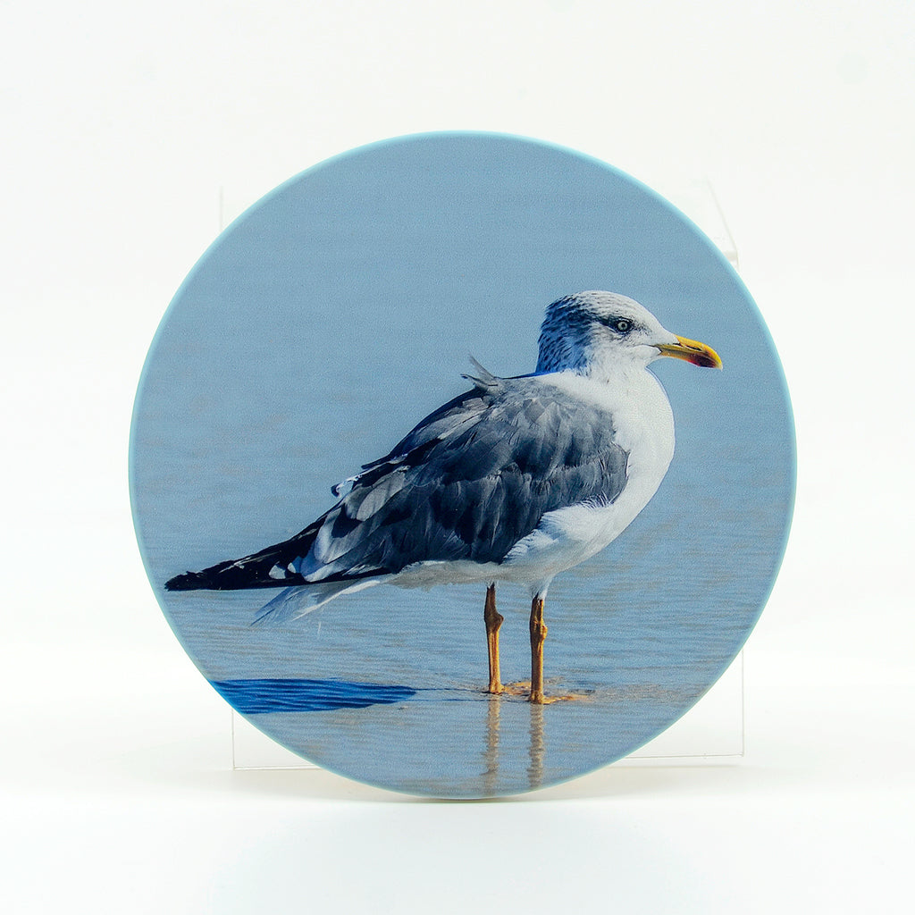 A segull photograph on a 4" round rubber home coasters