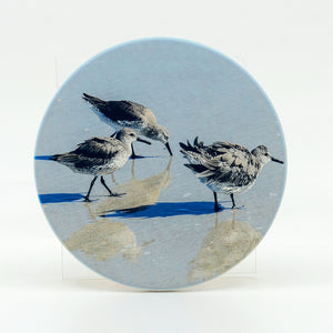 three shorebirds photograph on a 4" round rubber home coasters