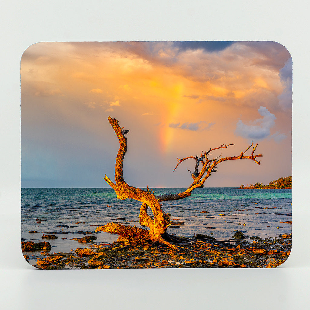 Rainbow Runner Photograph on a Rectangle Rubber Mouse Pad