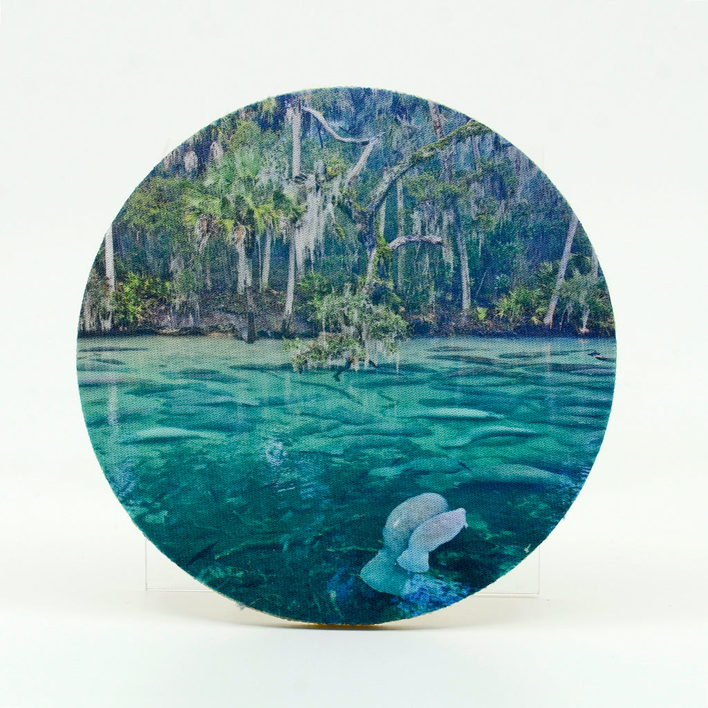 Blue springs manatees photograph on a 4" round rubber home coasters