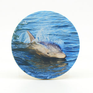 Dolphin photograph on a 4" round rubber home coasters
