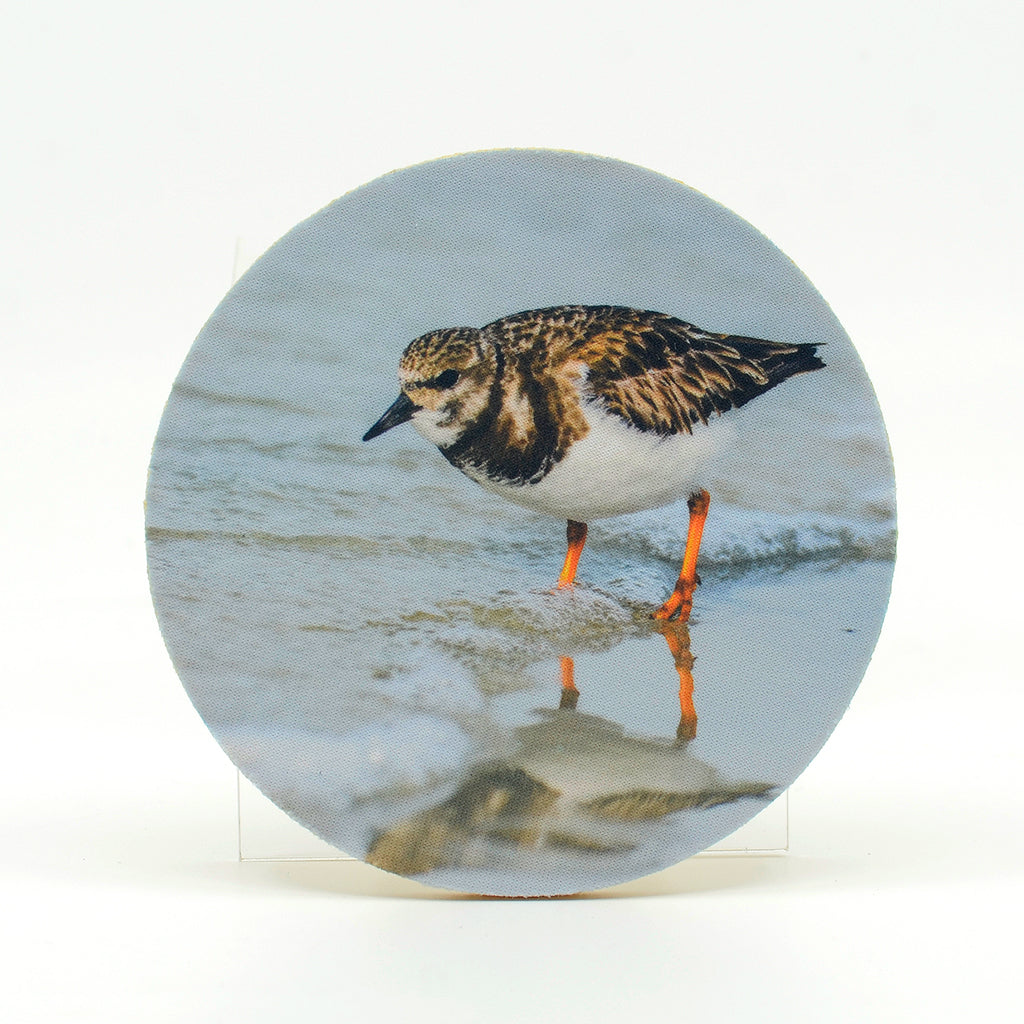 Ruddy Turnstone photograph on a 4" round rubber home coasters