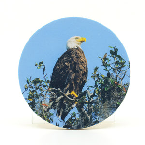 Bald Eagle photograph on a 4" round rubber home coasters
