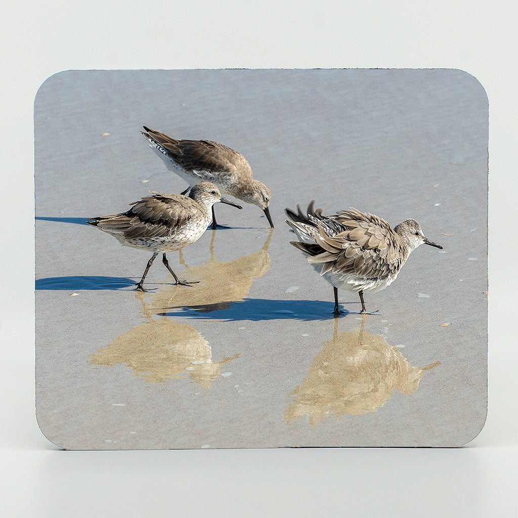 three shorebirds on the beach photograph on a rectangle rubber mouse pad