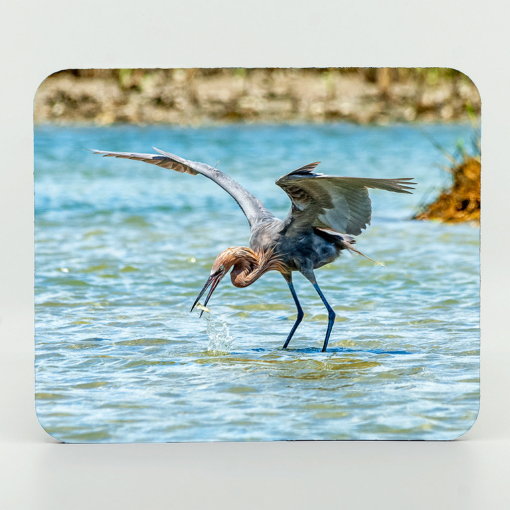 A reddish egret eating photograph on a rectangle rubber mouse pad